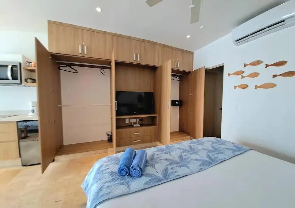 Moderno Estudio Totalmente Equipado, Centro プレヤデルカーメン アパート
